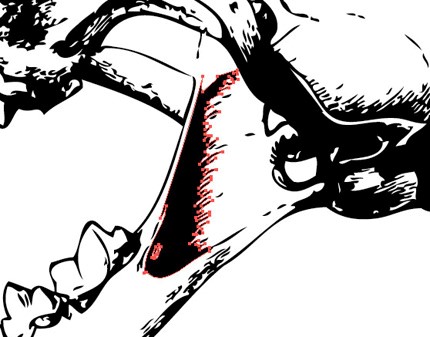 آموزش باز کردن و استفاده از وکتور در فتوشاپ