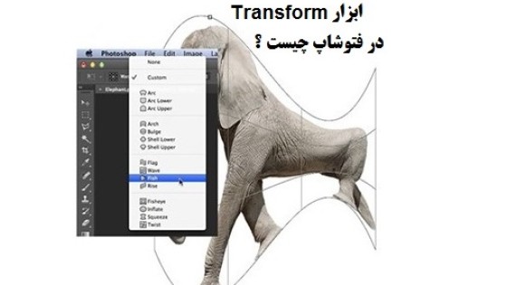 آموزش و کاربرد ابزار Transform در فتوشاپ آموزش و کاربرد ابزار Transform در فتوشاپ