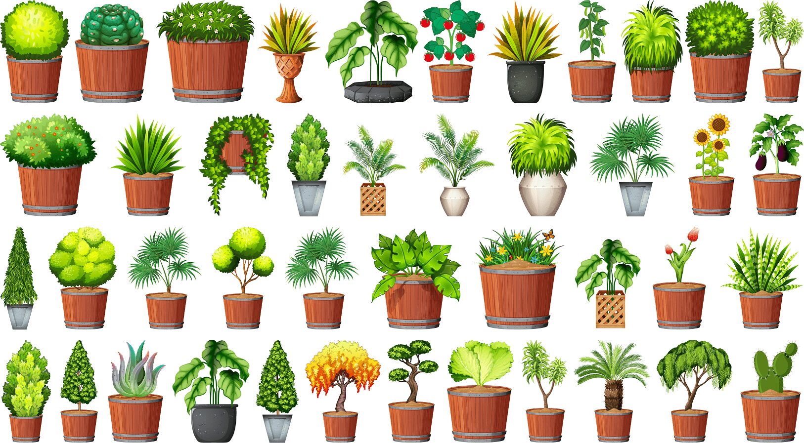 وکتور مجموعه گل های آپارتمانی