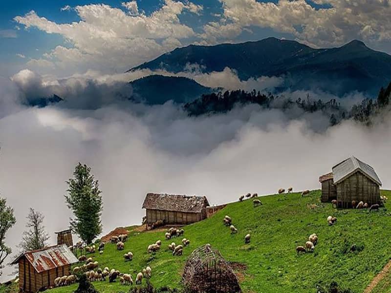 راهنمای سفر یک روزه به رشت راهنمای سفر یک روزه به رشت