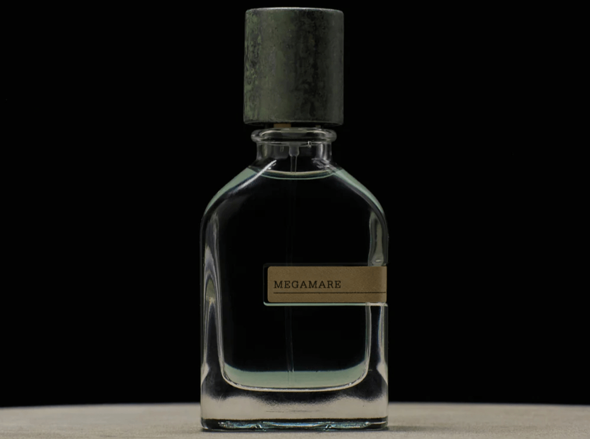 ادکلن‌هایی که حس آزادی و ماجراجویی را منتقل می‌کنند