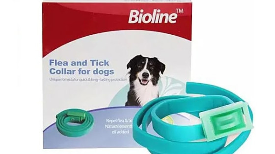 قلاده یا قطره ضد کک و کنه: کدام بهتر است؟