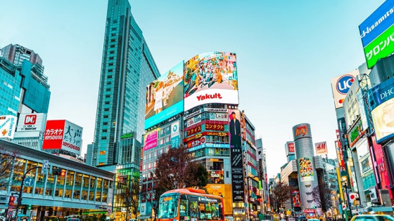 آشنایی با تور توکیو: سفری به دنیای مدرن و سنتی ژاپن